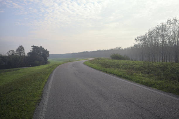 Country road on an embankment next to a grassy field and a forest on a sunny day