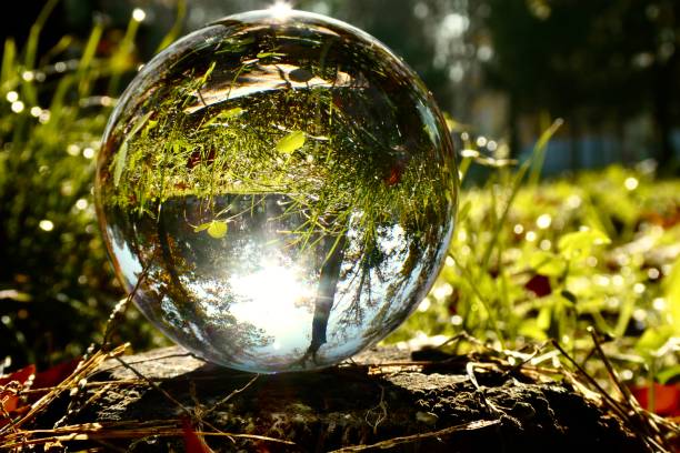 istock Crystal ball on tree trunk in park during sunrise 2183837278
