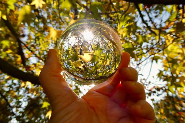 istock Hand holding crystal ball with trees background during autumn 2183837283