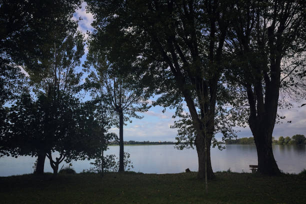 Lakeshore with silhouette of trees on a cloudy day