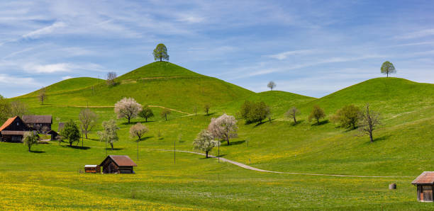istock Panorama of Drumlin hills with single tree on each top 2183841886
