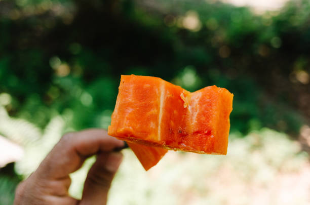 asia sweet papaya