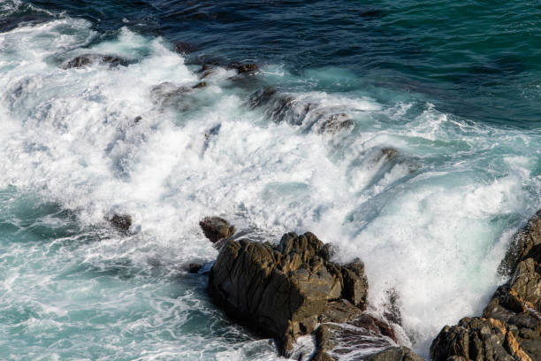 istock high-angle view of the surfs on the sea 2183844700