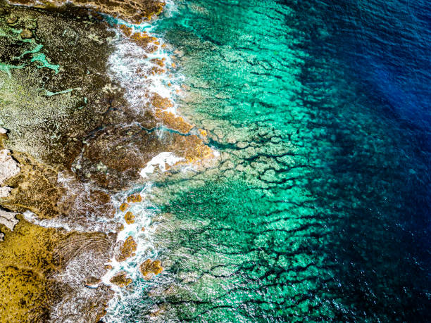 istock Coast, Tongatapu, Tonga 2183846142
