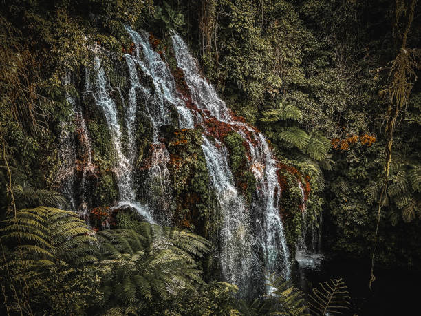 istock Waterfalls, Bali, Indonesia maximum 250 words 2183846219