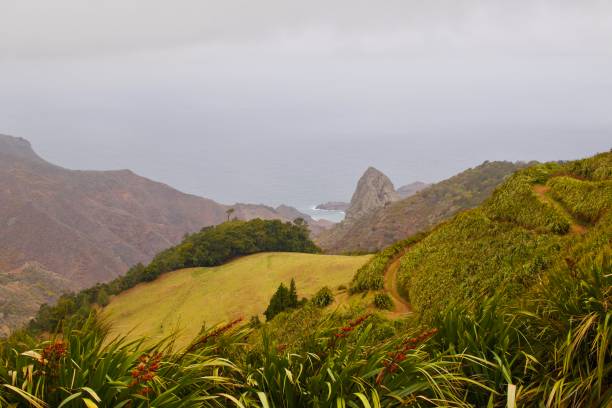 Overlooking the Atlantic ocean, this scene reveals vibrant flora shrouded in gentle mist. The colorful hues contrast beautifully with the calm waters, creating a captivating and tranquil coastal vista.