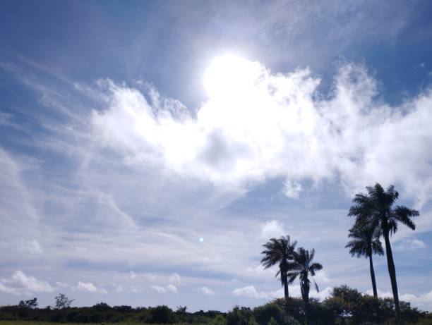 Sky with scattered clouds, sun and bright day with palm trees in landscape
