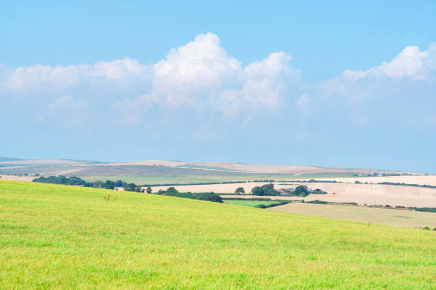 View of beautiful agricultural fields with clear blue sky in England