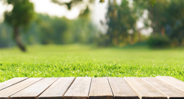 istock Empty old wooden table and fresh green grass lawn with trees 2183853469