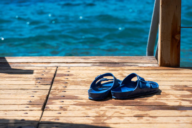A peaceful scene of sleepers resting near the sea in a serene bay, capturing the tranquility of nature with the calm waters and scenic landscape.