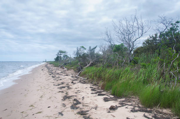 istock Heckscher State Park beach long island new york 2183854751