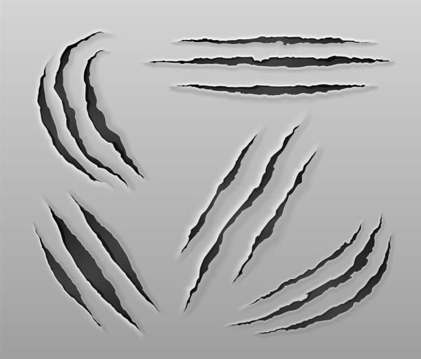 illustrations, cliparts, dessins animés et icônes de griffe d’animal, griffe d’animal, marque de griffe. - éraflure