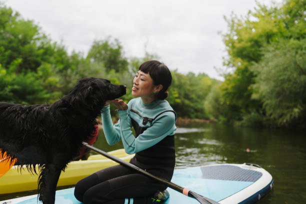 istock Paddleboarding on the river with my dog 2183859411