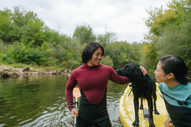 istock Kayaking on the river with our dog 2183859463