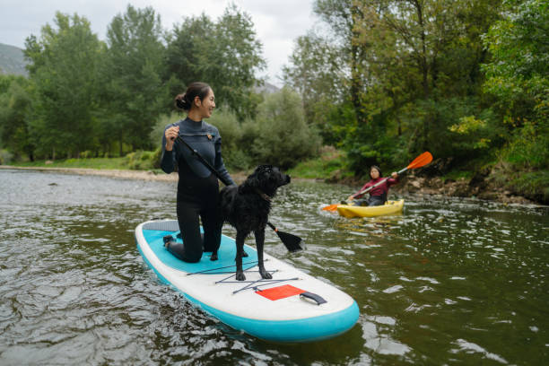 istock Paddleboarding on the river with our dog 2183859519