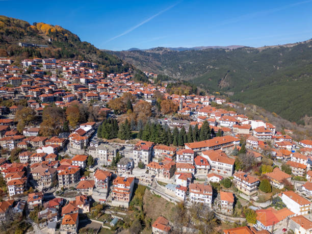 istock Metsovo in Greece by drone 2183860705