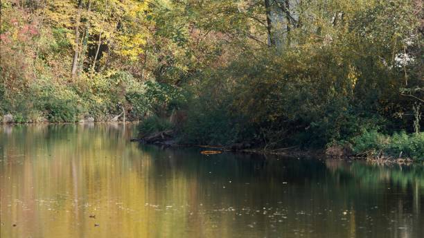 istock Beautiful autumn landscape with river and trees 2183861728