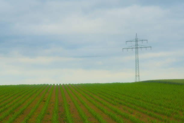 A big electricity pole with a green field in front of it.