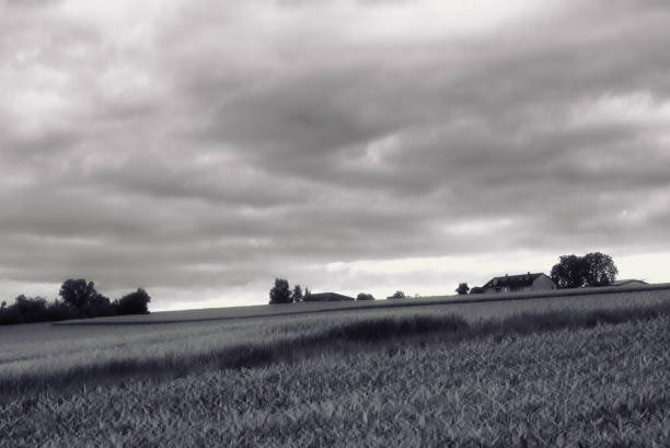 istock A big farm house with three fields in front of it 2183863108