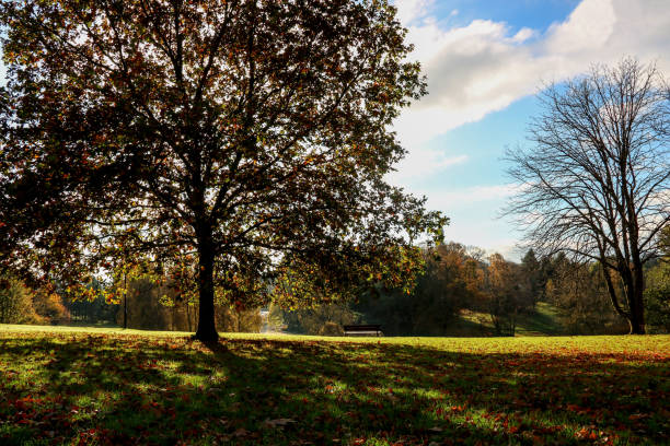 istock Lakeside Park View on a Sunny Autumn Morning 2183863167