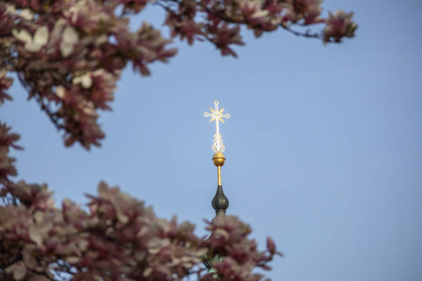 View through the geranium geranium flowers on the roof of the church on Ganina pit filmed 12.06.2022 in Yekaterinburg. High quality photo