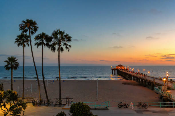 istock Palm trees and pier at sunset in Manhattan Beach, California. 2183867748