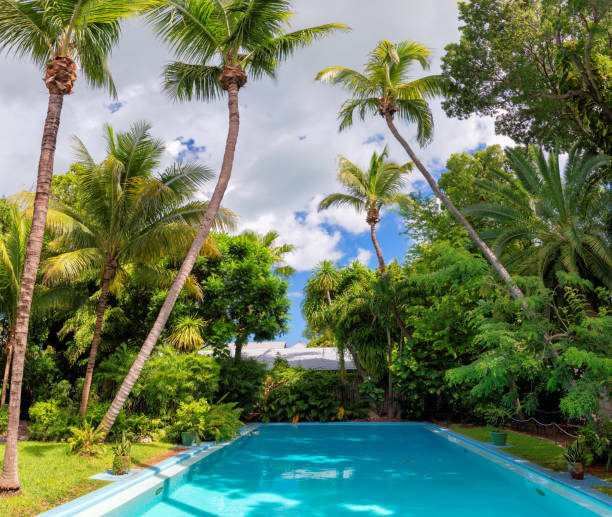 istock Palm trees over pool with blue water 2183867842