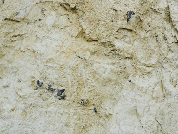 istock Chalk wall with flint ribbons 2183869098