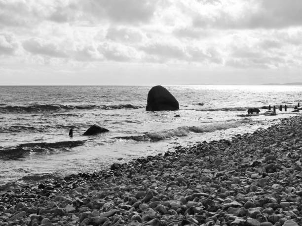 A beach of flint and erratics on the chalk cliffs of Rügen: A fascinating interplay of geological forces and the power of the sea.