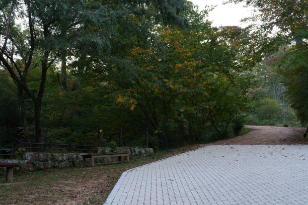 Park material in a wooded area with paths.