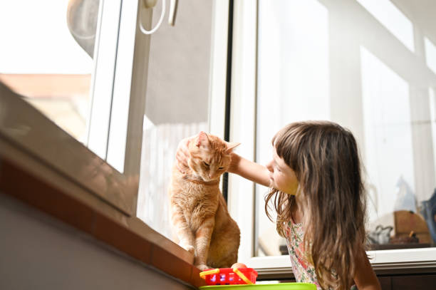 istock Preschool girl hugging her pet cat 2183875381