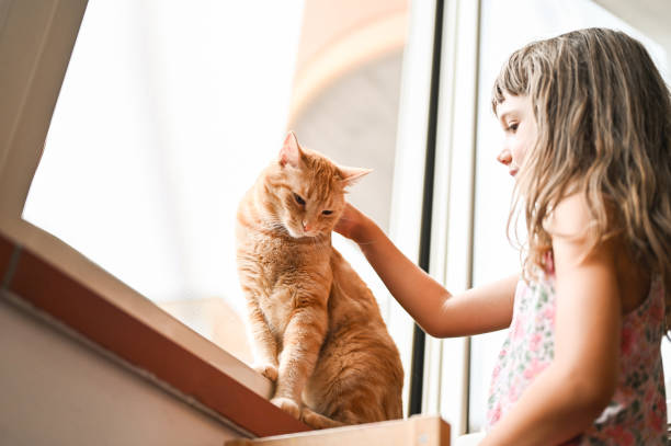 istock Little girl with cat. 2183875387