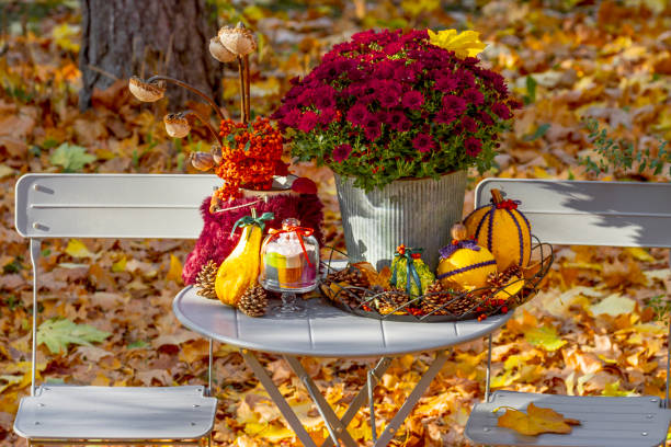 istock Flower arrangement in the garden 2183878662