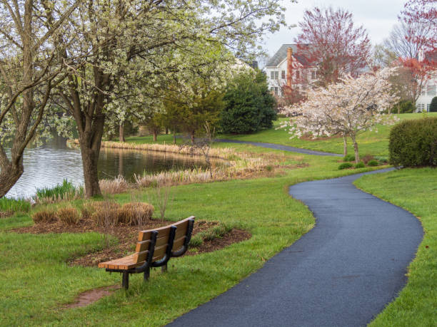 A bench beside a pathway along a pond in a US neighborhood in Ashburn, Virginia in spring time. stock photo
