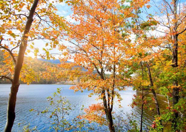 Autumn landscape in Vermont, USA.