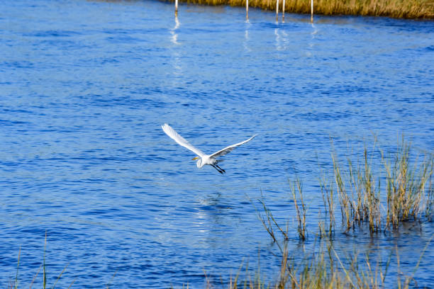 istock October in Orange Beach, Alabama 2183883393