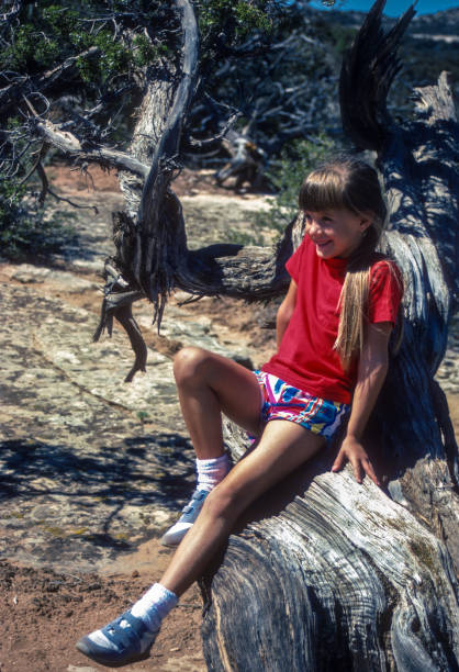 istock Colorado NM - Reclining on Weathered Tree - 1986 2183884343