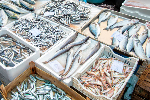 istock Sicily food market, Italy. 2183884362