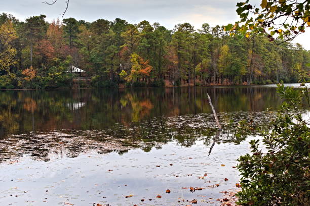 istock Reservoir Pond with Tree Reflections and Leaves in the Water 2183884570