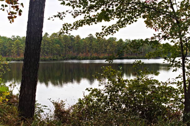 istock A Reservoir Pond with Trees Reflecting on the Water 2183884572