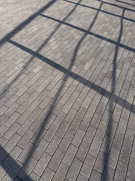 istock Shadow of metal fence on grey brick pattern pavement. Abstract background and texture. Sunlight,light and shadow concept 2183884821