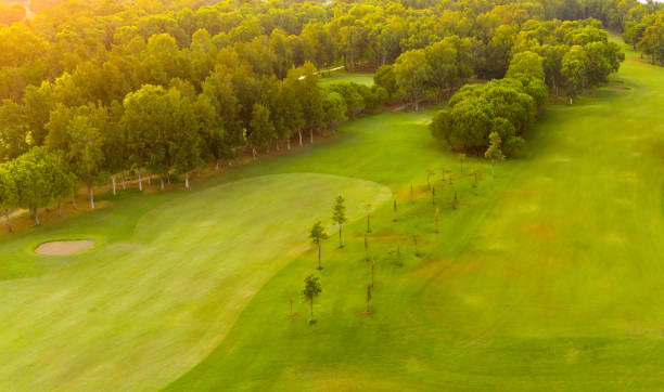 istock A beautiful golf course with lush green fairways surrounded by trees, bathed in the warm glow of sunset, creating a serene and inviting setting. 2183886008