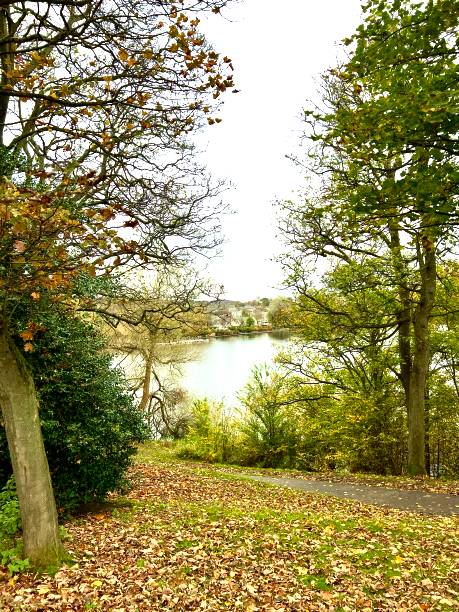istock Autumn by the Lakeside 2183886688
