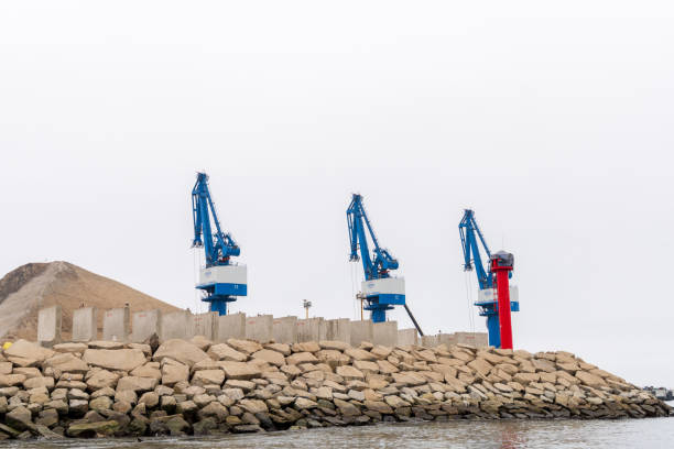 Chancay, Peru - Ago 28th 2024:Three cranes are on a rocky shoreline. The cranes are blue and white