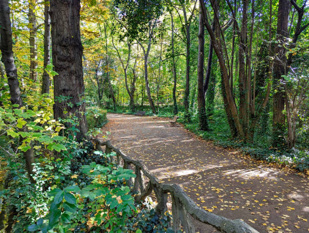istock Campo Grande park, Valladolid, Spain 2183886900