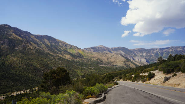 istock Mt Charleston in summer 2183887865