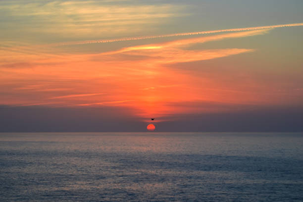 A beautiful sky painted with the colors of sunset, produced as the sun sets on the horizon. A seagull flies in front, making the image more relaxing.