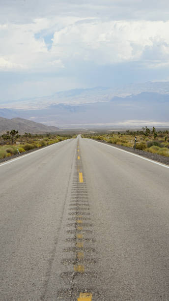 istock Mt Charleston in summer 2183889602