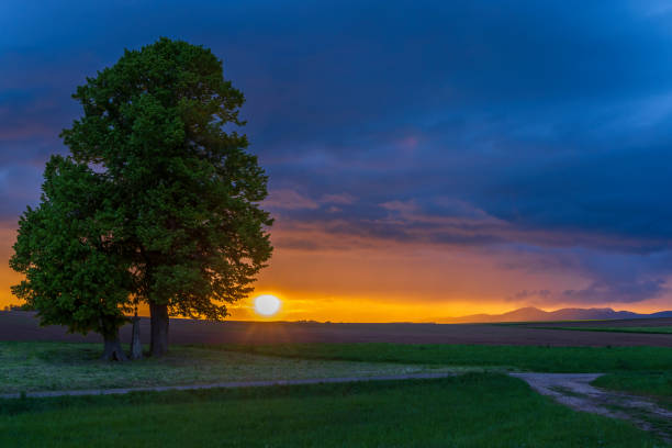 Broumov basin, Eastern Bohemia, Czech Republic