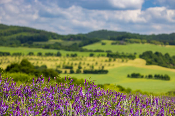 Spring landscape in White Carpathians, Southern Moravia, Czech Republic